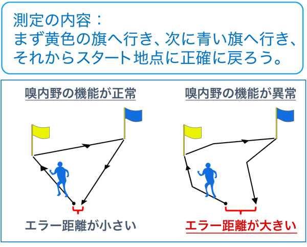 測定の内容：まず黄色の旗に行き、次に葵畑へ行き、それからスタート地点に正確に戻ろう。